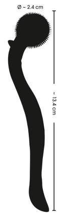 Fetish Collection - Koło Kolczaste Wartenberga Małe 13,4 CM BDSM Fetish Collection