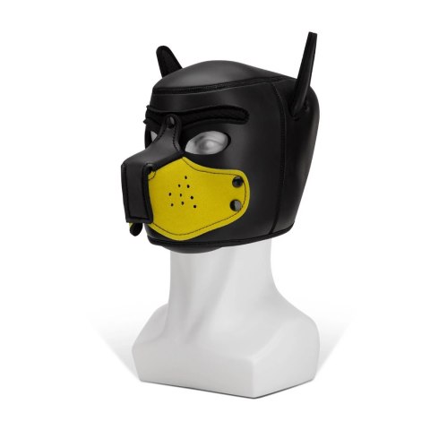 Kaganiec Puppy Prowler Red Prowler Red Kaganiec Puppy Prowler Red Prowler Red