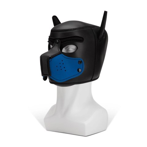 Kaganiec Puppy Prowler Red Prowler Red Kaganiec Puppy Prowler Red Prowler Red