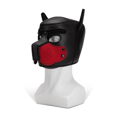 Kaganiec Puppy Prowler Red Prowler Red Kaganiec Puppy Prowler Red Prowler Red