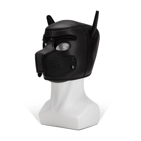 Kaganiec Puppy Prowler Red Prowler Red Kaganiec Puppy Prowler Red Prowler Red