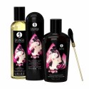 Zestaw dla par - Shunga Touch Of Romance Shunga
