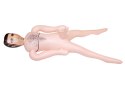 Lalka BOSS - Lalka Dmuchana Szef Z 20 Cm Penisem I Owłosioną Klatą Kemis