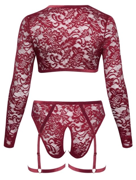 Cottelli CURVES - Seksowny Czerwony Koronkowy Komplecik Z Topem I Majteczkami XL Cottelli CURVES Cottelli CURVES - Seksowny Czerwony Koronkowy Komplecik Z Topem I Majteczkami XL Cottelli CURVES