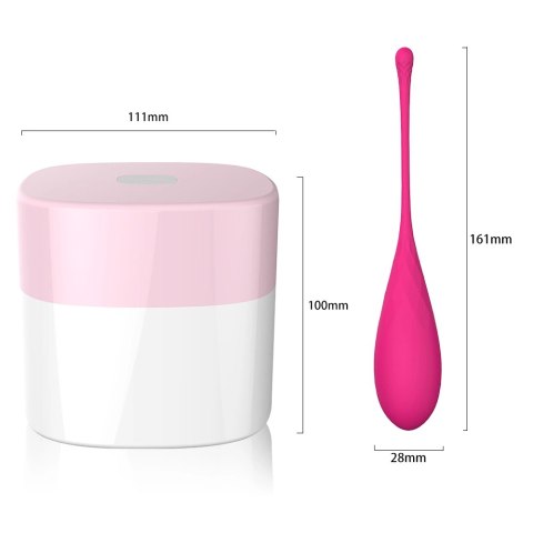 Kulki kegla - FeelzToys FemmeFit Set 6 szt FeelzToys Kulki kegla - FeelzToys FemmeFit Set 6 szt FeelzToys
