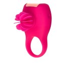 Pierścień erekcyjny - Tokyo Design Glamfit Rotating Pleasure Ring Cerise Tokyo Design