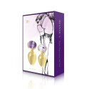 Zestaw plugów analnych - Rianne S Booty Plug Luxury Set 2x Gold Rianne S