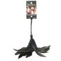 Piórko - Sportsheets Pleasure Feather Black Sportsheets