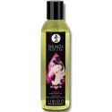 Zestaw dla par - Shunga Touch Of Romance Shunga