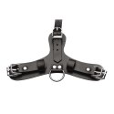 Pup - Puppy Play Mask + Breathable Ball Gag XR Brands