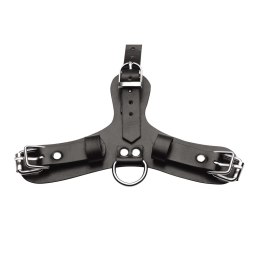 Pup - Puppy Play Mask + Breathable Ball Gag XR Brands