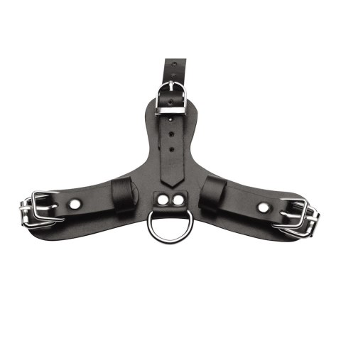 Pup - Puppy Play Mask + Breathable Ball Gag XR Brands