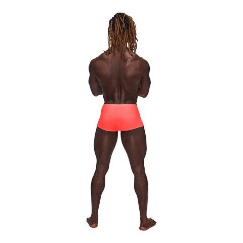 Mini szorty Barely There - M Male Power Male Power Mini szorty Barely There - M Male Power Male Power
