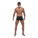 Spodenki Modal Wonder - XL Male Power Male Power