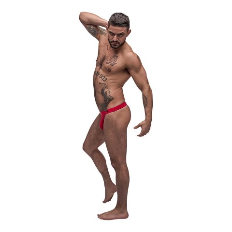 Stringi - L/XL Male Power Male Power Stringi - L/XL Male Power Male Power