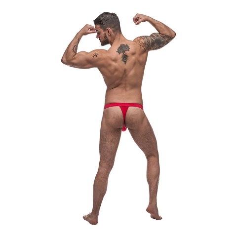 Stringi - L/XL Male Power Male Power Stringi - L/XL Male Power Male Power