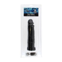 Kadet Dildo - Domestic Partner Domestic Partner