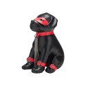 Szczeniak do tresury Kapitan Chains Prowler Red Prowler Red