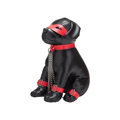 Szczeniak do tresury Kapitan Chains Prowler Red Prowler Red
