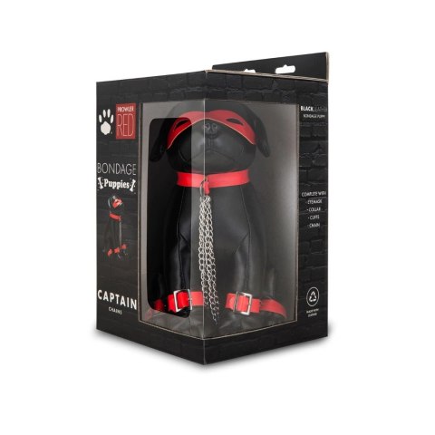 Szczeniak do tresury Kapitan Chains Prowler Red Prowler Red Szczeniak do tresury Kapitan Chains Prowler Red Prowler Red