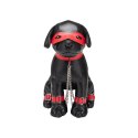 Szczeniak do tresury Kapitan Chains Prowler Red Prowler Red