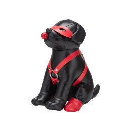 Szczeniak do tresury Prowler Red Prowler Red