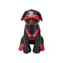 Szczeniak do tresury Prowler Red Prowler Red