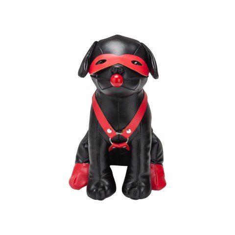 Szczeniak do tresury Prowler Red Prowler Red Szczeniak do tresury Prowler Red Prowler Red