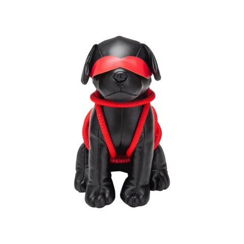 Szczeniak do tresury Roped Prowler Red Prowler Red Szczeniak do tresury Roped Prowler Red Prowler Red