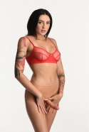 Majtki z penisem - średni Xr Brands XR Brands