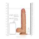 RealRock - Proste realistyczne dildo z jądrami i przyssawką 23 cm RealRock by Shots