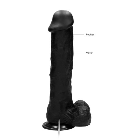 RealRock - Wibrujące realistyczne dildo z jądrami - z pilotem 28 cm RealRock by Shots RealRock - Wibrujące realistyczne dildo z jądrami - z pilotem 28 cm RealRock by Shots