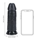 RealRock - Extra cienkie realistyczne dildo 20,3 cm RealRock by Shots