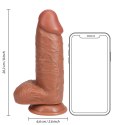 RealRock - Extra cienkie realistyczne dildo z jądrami 20,3cm RealRock by Shots