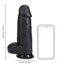 RealRock - Extra cienkie realistyczne dildo z jądrami 25,4 cm RealRock by Shots