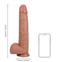 RealRock - Extra duże realistyczne dildo z jądrami 35,5 cm RealRock by Shots