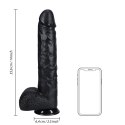 RealRock - Extra duże realistyczne dildo z jądrami 35,5 cm RealRock by Shots