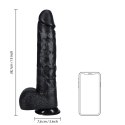 RealRock - Extra duże realistyczne dildo z jądrami 38 cm RealRock by Shots