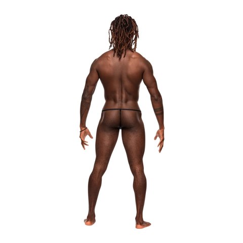 String Starp Male Power Male Power String Starp Male Power Male Power