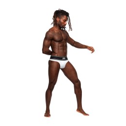 Stringi SM Male Power Male Power