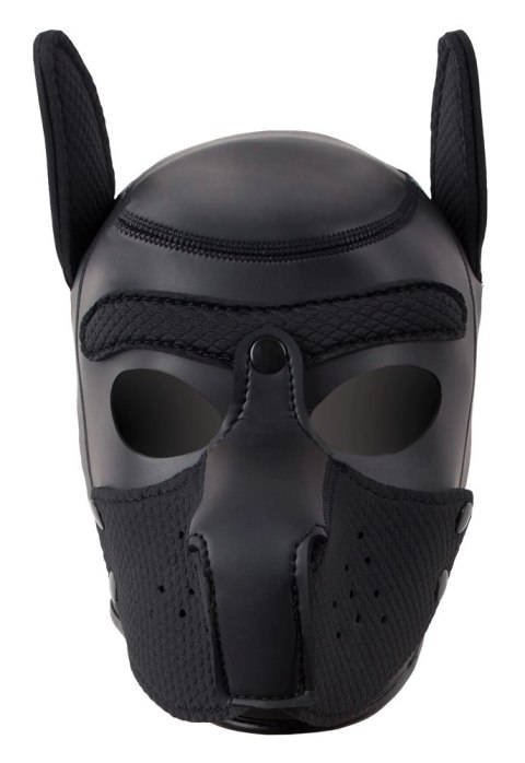 Bad Kitty - Maska na twarz Bad Kitty Bad Kitty Bad Kitty - Maska na twarz Bad Kitty Bad Kitty