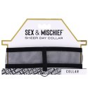 Sportsheets - Sex & Mischief Obroża z karabińczykiem Sportsheets