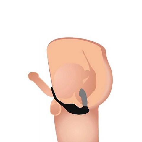 Dojmujący i wibrujący masażer prostaty + uprząż z 7 prędkościami Xr Brands XR Brands Dojmujący i wibrujący masażer prostaty + uprząż z 7 prędkościami Xr Brands XR Brands