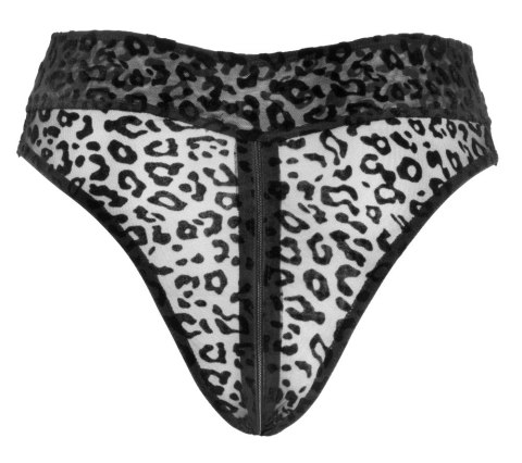Noir - Czarne Siateczkowe Majteczki W Panterkę XL Noir Noir - Czarne Siateczkowe Majteczki W Panterkę XL Noir