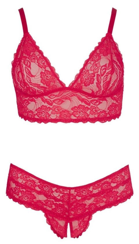 Cottelli CURVES - Czerwony Koronkowy Zestaw Stanik Bez Zapięcia I Stringi Bez Kroku 2XL Cottelli CURVES Cottelli CURVES - Czerwony Koronkowy Zestaw Stanik Bez Zapięcia I Stringi Bez Kroku 2XL Cottelli CURVES