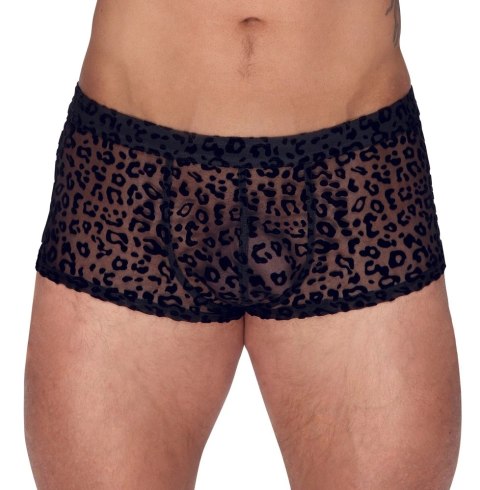 Noir - Seksowne Prześwitujące Bokserki Męskie Panterka Czarne 2XL Noir Noir - Seksowne Prześwitujące Bokserki Męskie Panterka Czarne 2XL Noir