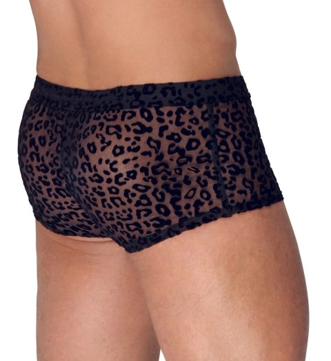 Noir - Seksowne Prześwitujące Bokserki Męskie Panterka Czarne 2XL Noir Noir - Seksowne Prześwitujące Bokserki Męskie Panterka Czarne 2XL Noir
