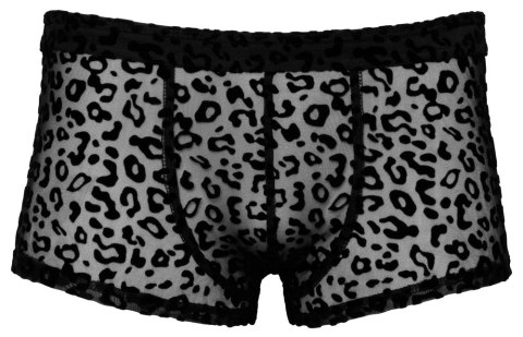 Noir - Seksowne Prześwitujące Bokserki Męskie Panterka Czarne 2XL Noir Noir - Seksowne Prześwitujące Bokserki Męskie Panterka Czarne 2XL Noir