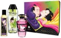 Shunga - 3-Częściowy Zestaw Olejków Do Masażu Secret Set Fruity Kisses Shunga