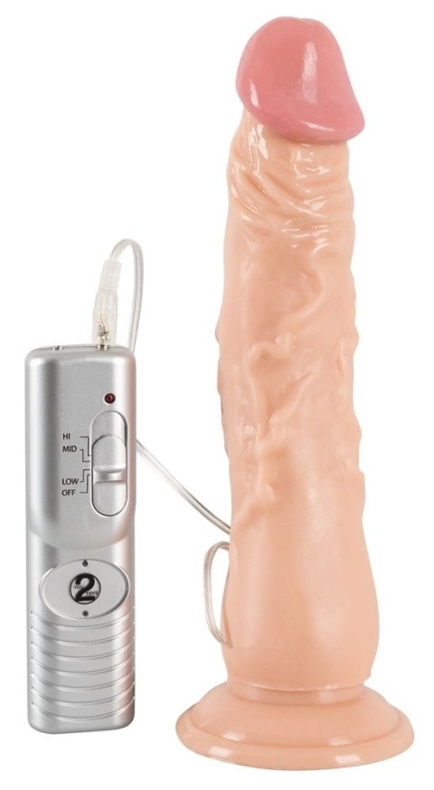 European Lover - Realistyczne Wibrator Z Przyssawką I Pilotem 23cm European Lover European Lover - Realistyczne Wibrator Z Przyssawką I Pilotem 23cm European Lover
